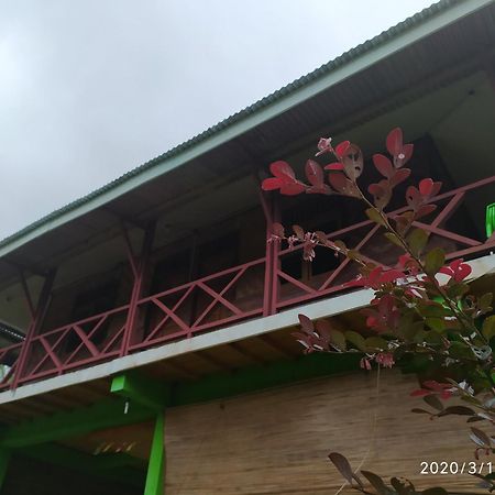 Green Forest Tangkahan Kamer foto