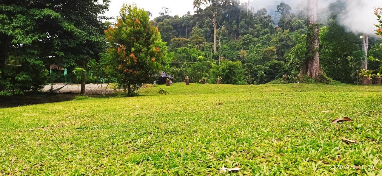 Green Forest Tangkahan Buitenkant foto