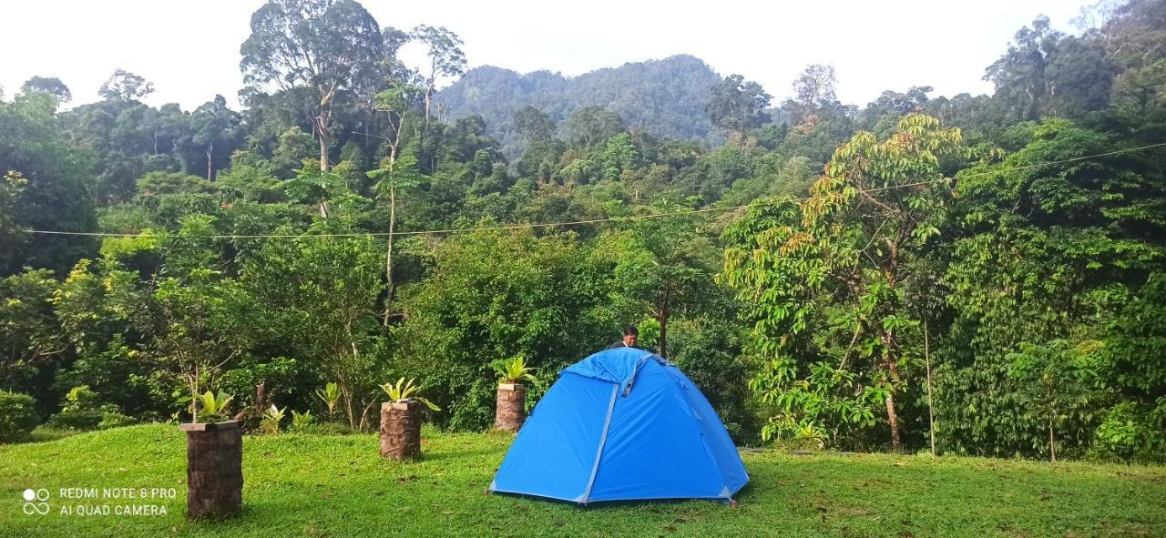Green Forest Tangkahan Buitenkant foto
