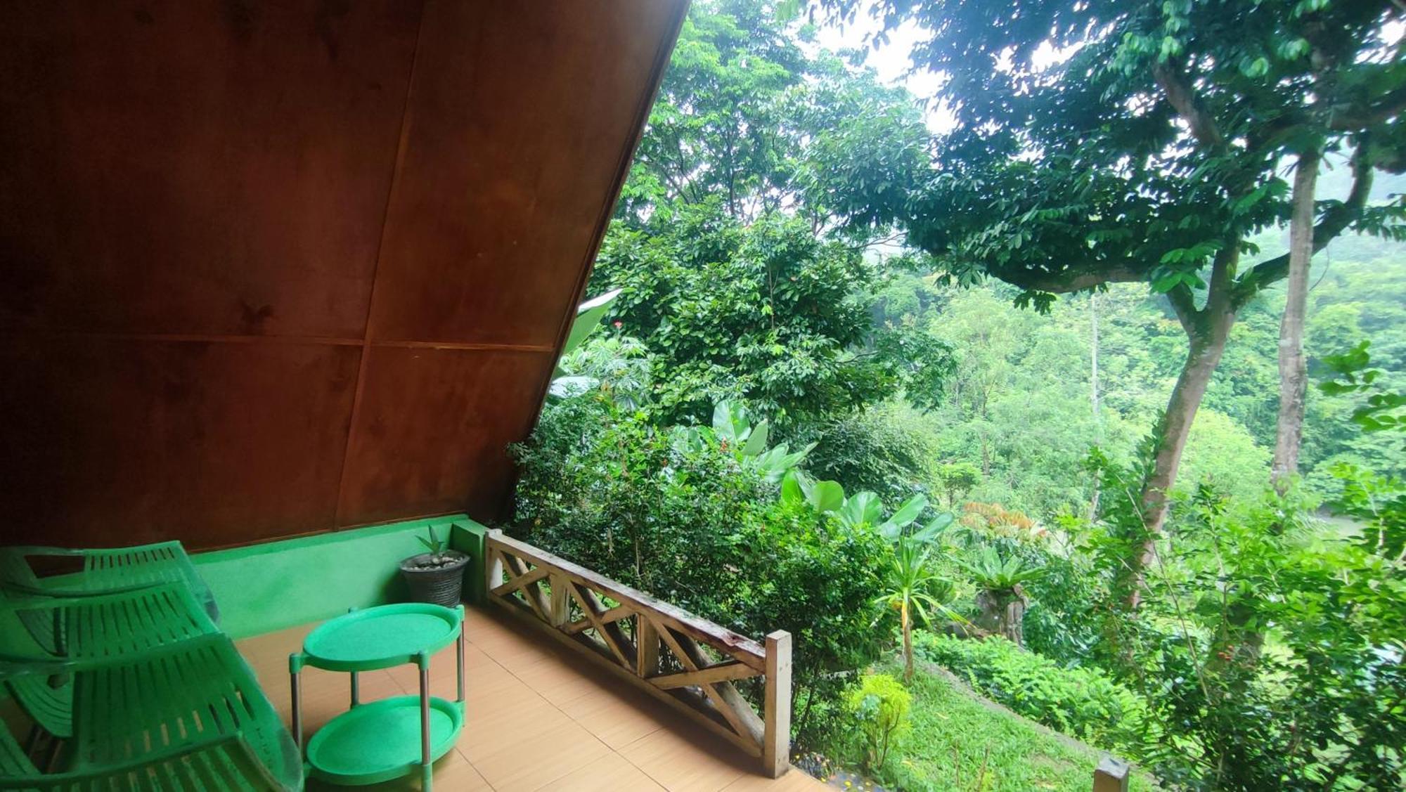 Green Forest Tangkahan Kamer foto