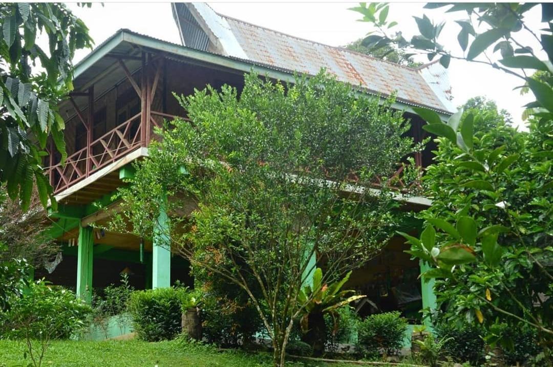 Green Forest Tangkahan Kamer foto