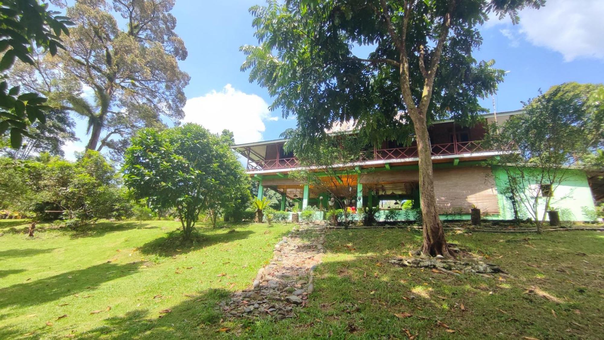 Green Forest Tangkahan Kamer foto