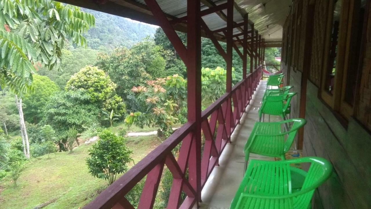 Green Forest Tangkahan Buitenkant foto