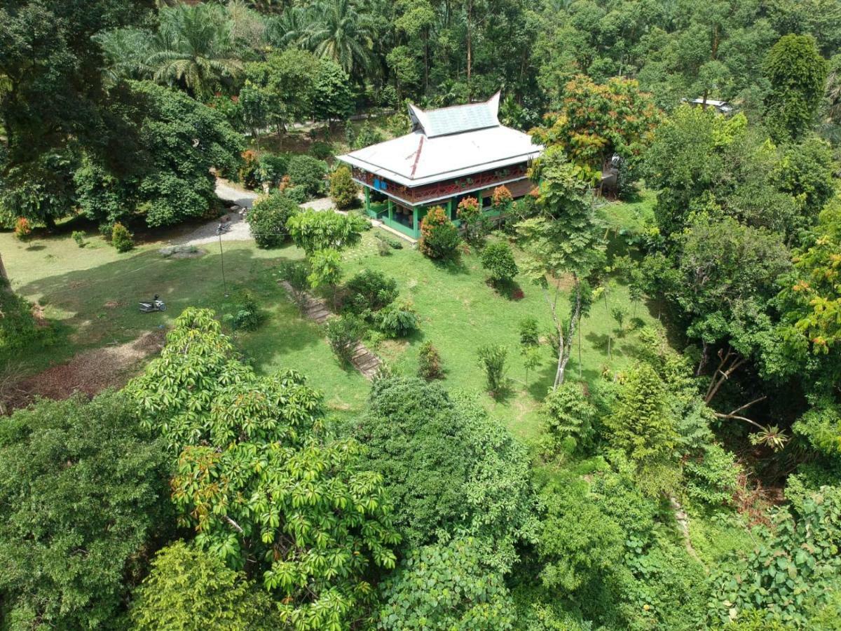 Green Forest Tangkahan Buitenkant foto