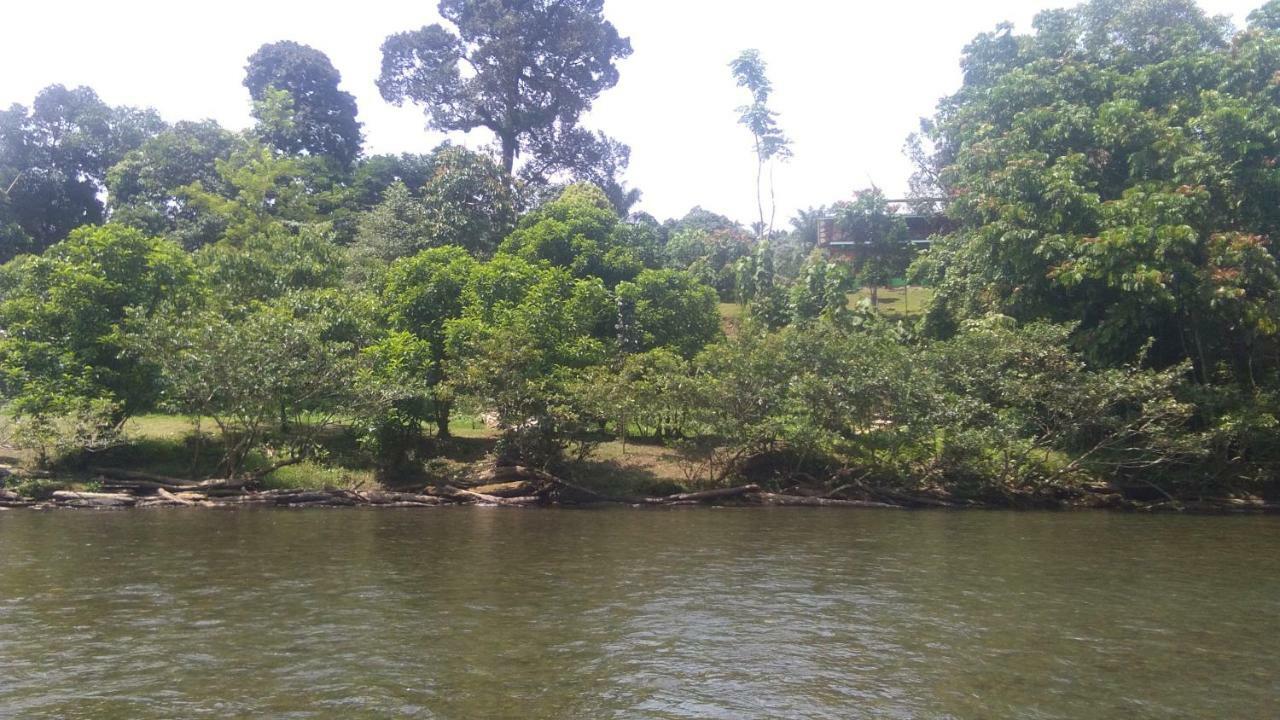 Green Forest Tangkahan Buitenkant foto