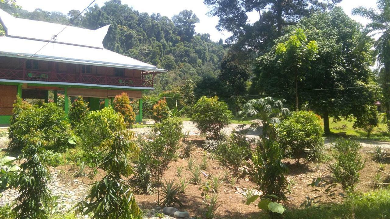 Green Forest Tangkahan Buitenkant foto