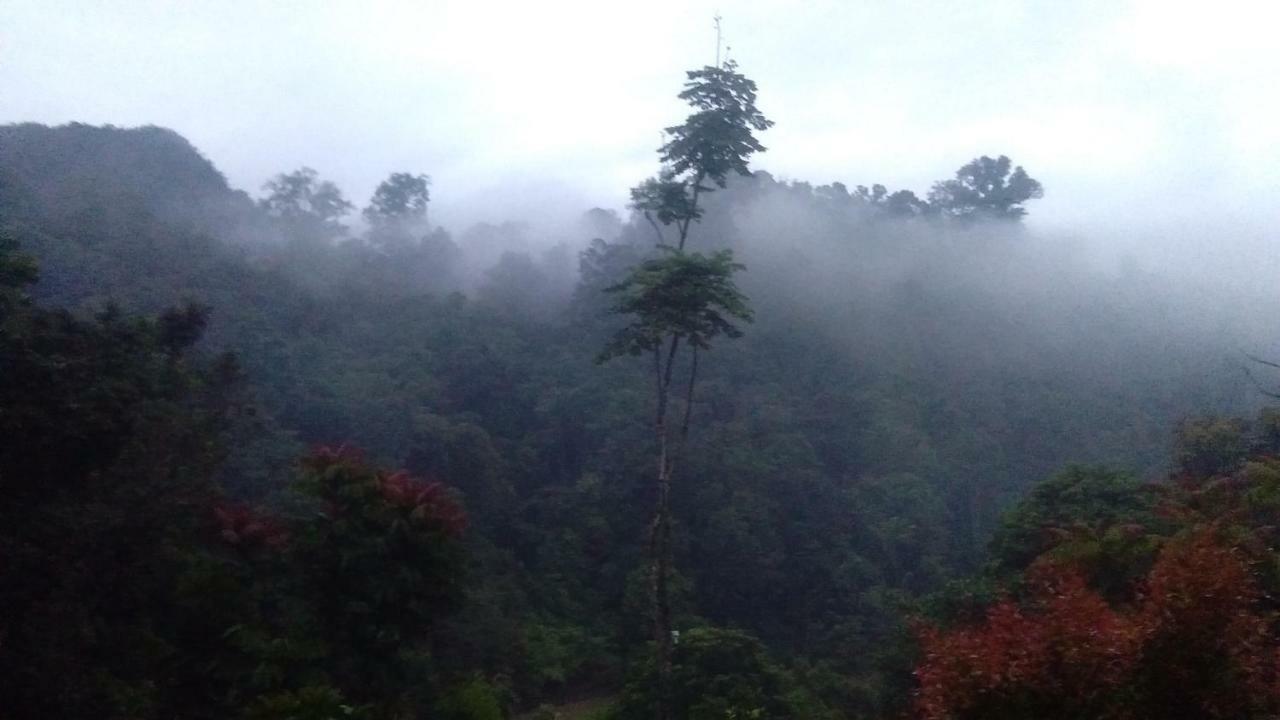 Green Forest Tangkahan Buitenkant foto