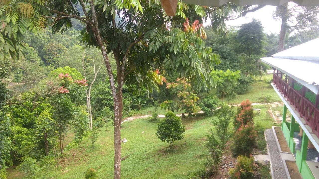Green Forest Tangkahan Buitenkant foto