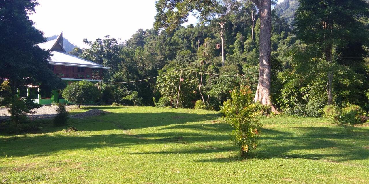 Green Forest Tangkahan Buitenkant foto