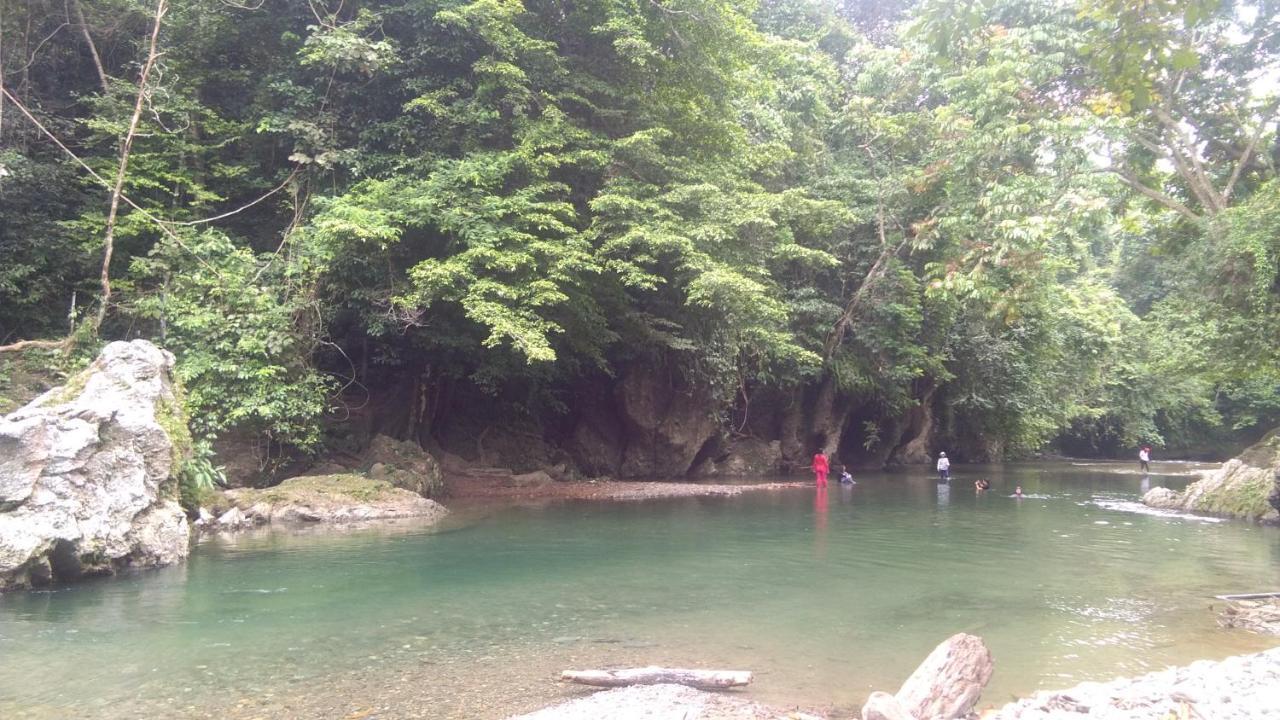 Green Forest Tangkahan Buitenkant foto