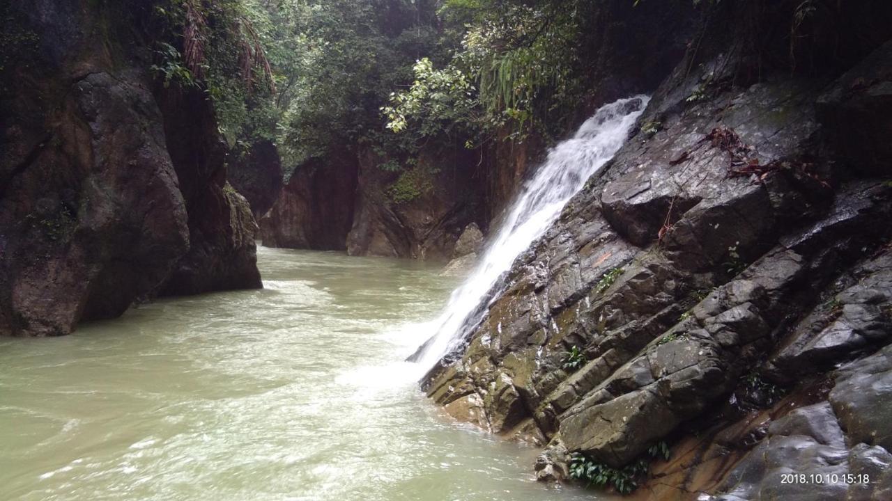 Green Forest Tangkahan Buitenkant foto